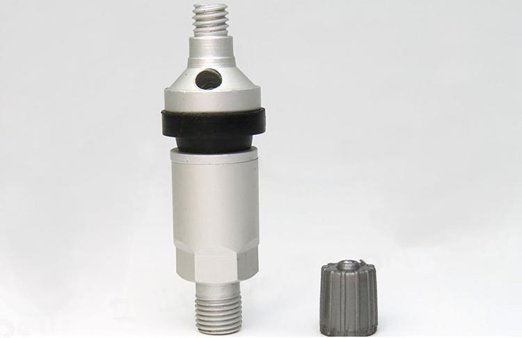 TPMS-10