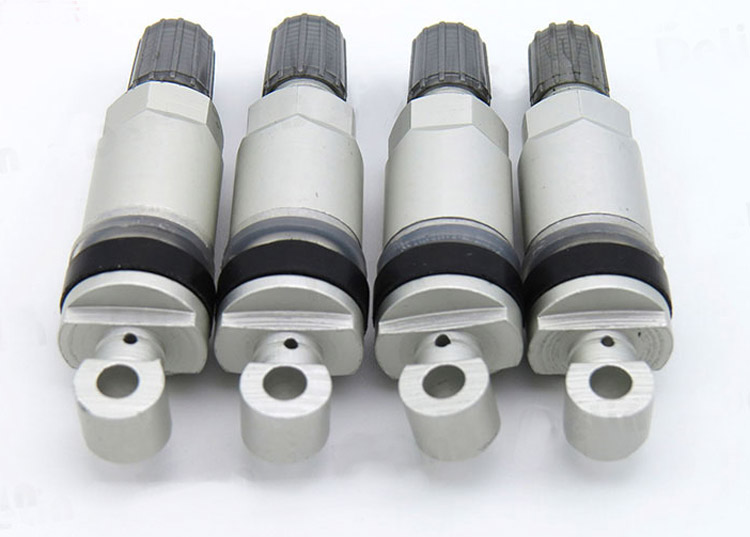 TPMS-15氣門嘴
